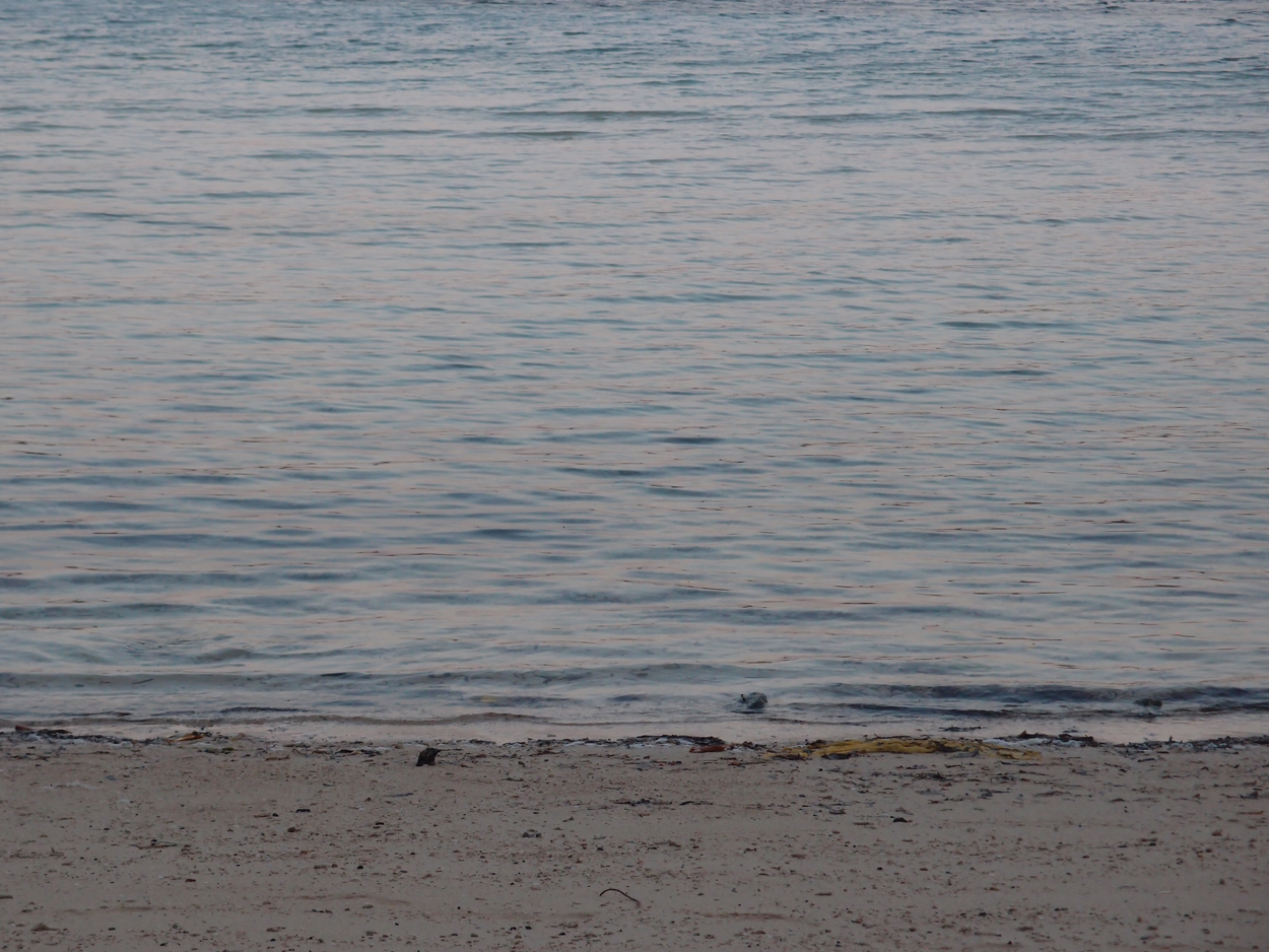 2015-10-03 04 Sand Komposition 2 (Komposition + Foto)